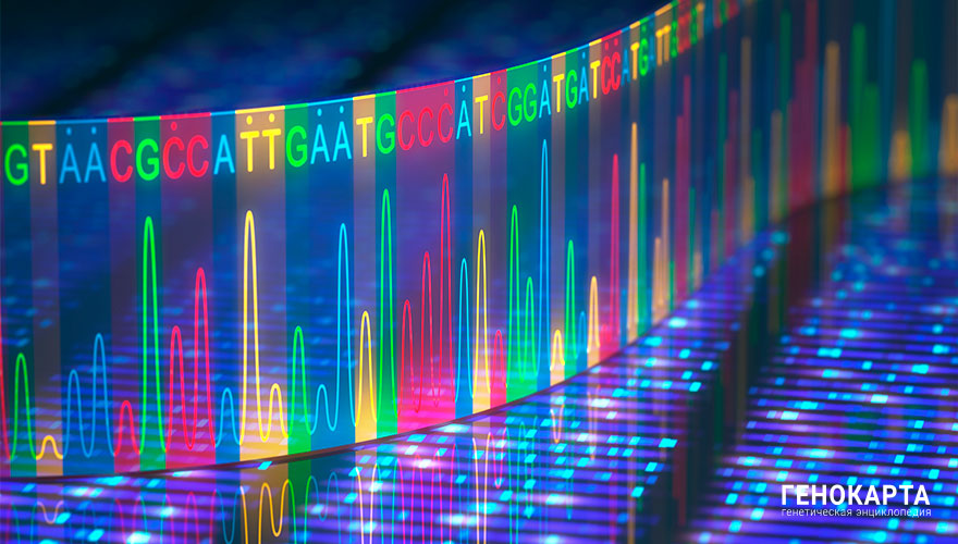 Генетические нарушения у человека и методы их выявления